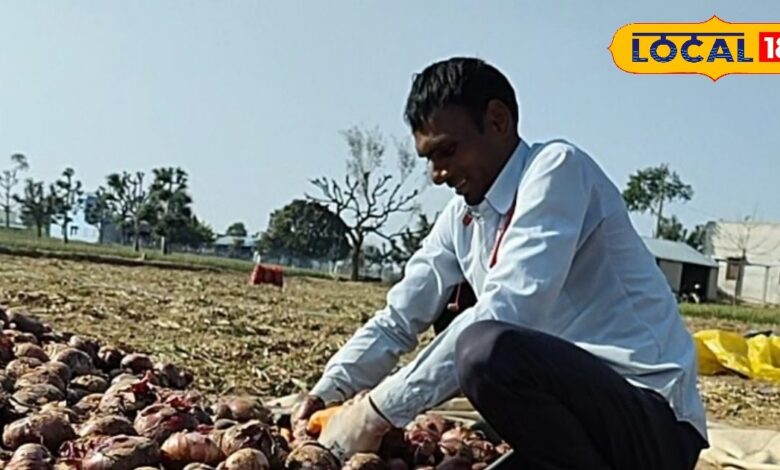 आंखों में आंसू ला रहा सीकर का मीठा प्याज, उत्पादन बंपर, फिर भी नहीं मिल रहे भाव, किसानों ने की ये मांग