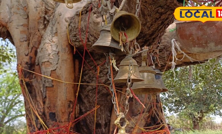 mysterious tree of Damdama village worshipped as laxmi narayan – News18 हिंदी