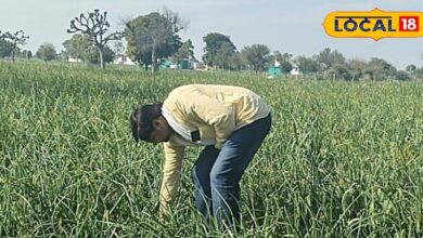 AGRICULTURE TIPS Farmers increase farming know tips