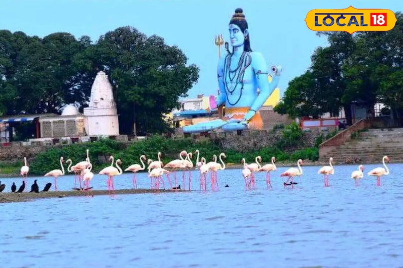 news 18 