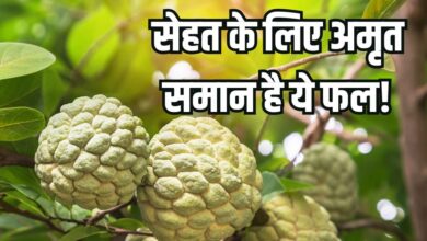 7 Medicinal Benefits of Custard Apple for Heart Bones and Skin or more sarifa khane ke fayde in hindi | जवानी में ही कमजोर हो गईं हड्डियां! शरीर में भी घट गई खून की मात्रा, परेशानी से बचा सकता ये 'अमृत समान' फल