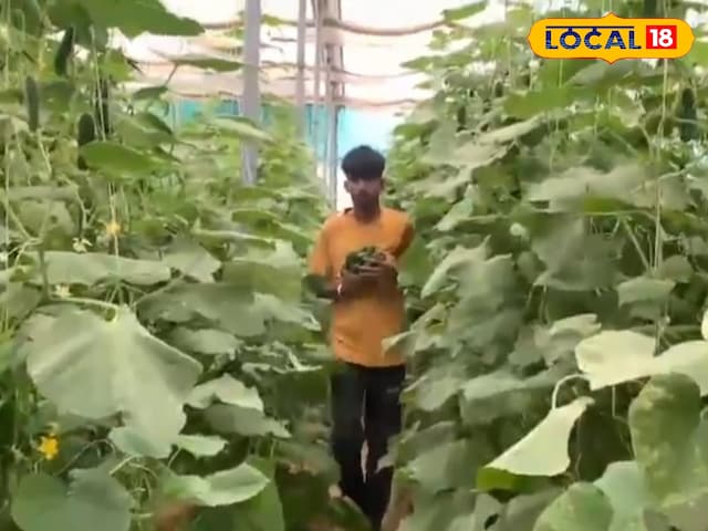 बीकानेर