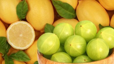 Amla vs Lemon Best Source of Vitamin C for Immunity | आंवला या नींबू इम्यूनिटी बढ़ाने में कौन है बेहतर