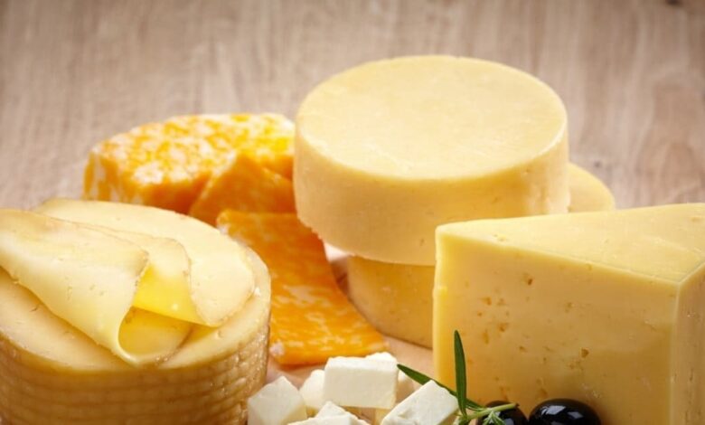 Benefits of cheese: चीज खाने के फायदे, वजन घटाने और हड्डियों को मजबूत बनाने में मददगार