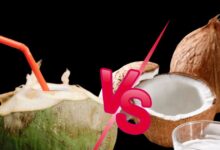Coconut Water vs Coconut Milk Which is Healthier for You | नारियल पानी और नारियल दूध, कौन सी चीज सेहत के लिए ज्यादा फायदेमंद