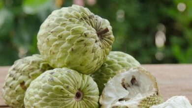 Custard Apple Boost Immunity Improve Digestion Sharifa Khane Ke Fayde : शरीफा खाने से मजबूत होगी इम्यूनिटी, पाचन और हार्ट हेल्थ के लिए भी फायदेमंद