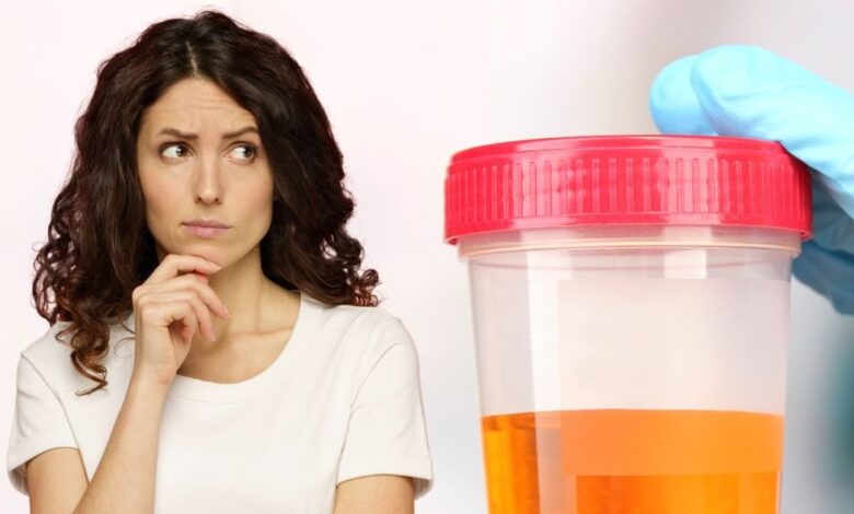 Dehydration Cause Dark Yellow Urine in Summer : गर्मी में डिहाइड्रेशन से पेशाब का रंग हो सकता है गहरा पीला, डॉक्टर बोले इससे बचने के लिए खूब पिएं पानी