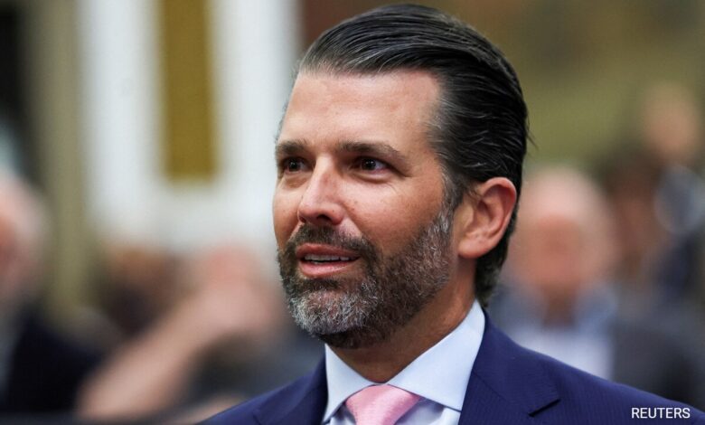 Donald Trump Jr On Running For US President