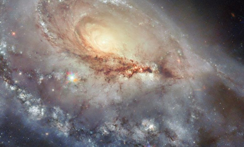 Hubble Captures Stunning Image of Peculiar Spiral Galaxy Arp 184 in Camelopardalis