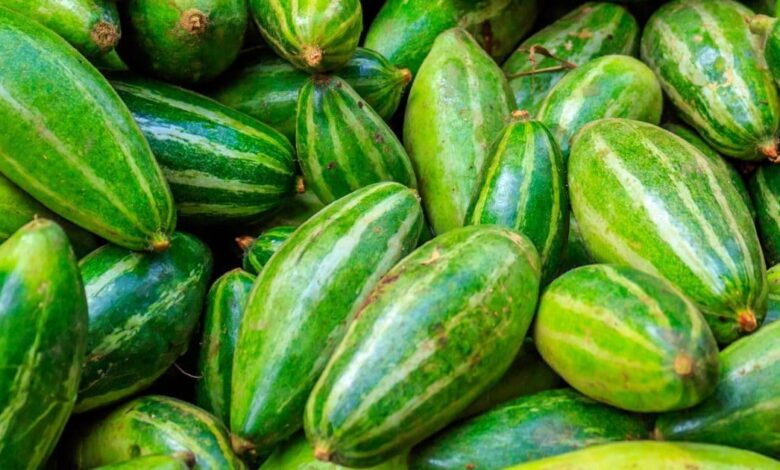 Parwal Benefits in Digestion Diabetes and Weight Loss : परवल खाने के फायदे और नुकसान जरूर जानें