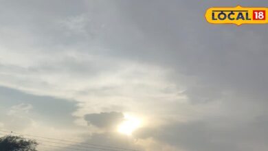 Rajasthan Weather Report: राजस्थान के 13 जिलाें में मेघगर्जन के साथ आंधी के आसार, IMD ने जारी किया येलो अलर्ट