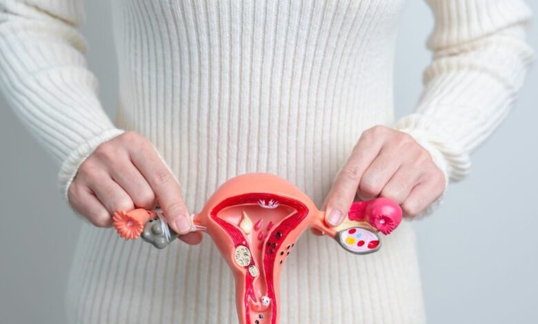 World Ovarian Cancer Day 2025: पेट फूलने की बीमारी भी अंडाशय कैंसर हो सकता है, ये लक्षण दिखें तो भागे डॉक्टर के पास