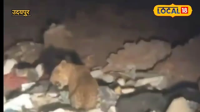 पैंथर