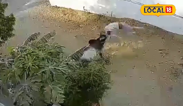 सींग