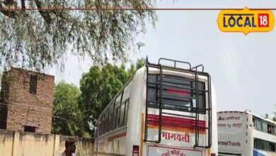 टैक्स बचाने के लिए लगाया ऐसा दिमाग, जानकर आपकी बत्ती हो जाएगी गुल