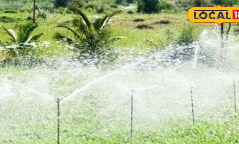 पाइप लाइन से खेती करने के लिए सरकार दे रही 60 फीसदी सब्सिडी, बस करना होगा ये काम, खाते में आ जाएंगे रुपए