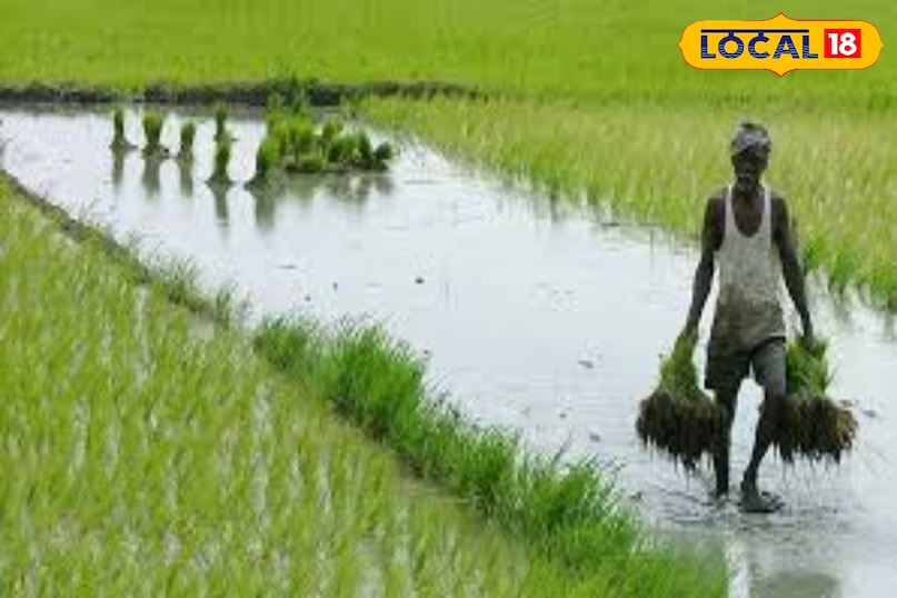 news 18 