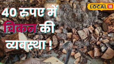 मटन-चिकन को टक्कर देती है यह लकड़ी जैसी सब्जी! कूट-कूट कर भरा है प्रोटीन; कीमत भी बहुत कम