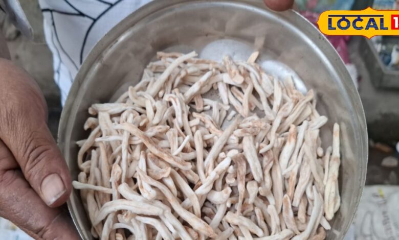 शिलाजीत, अश्वगंधा जैसी बूटी का भी बाप है ये लकड़ी, खाते ही आएगी घोड़ों जैसी ताकत