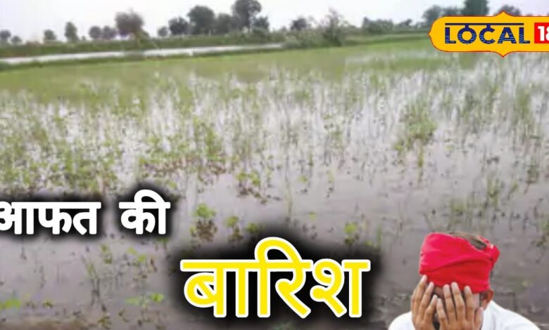 Agriculture News : खेत बने तालाब, सपने हुए बर्बाद! पाली के किसानों की बुवाई पर बारिश ने फेरा पानी