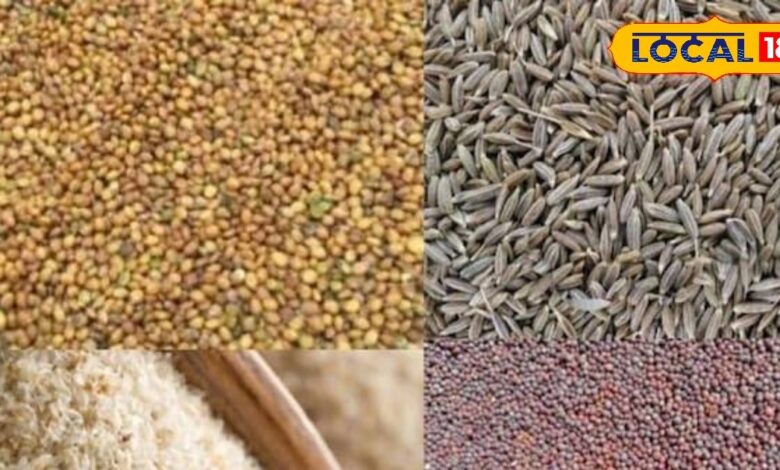 Nagaur News: The prices of cumin, fennel and fenugreek crops increased in Nagaur market, while the prices of moong and taramira decreased in Merta market