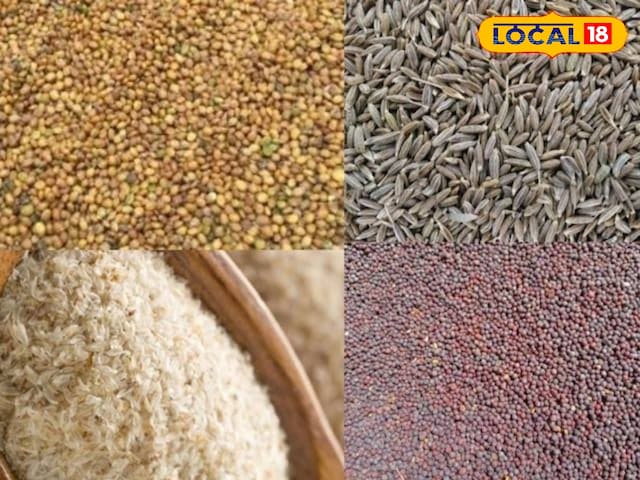 नागौर की मंडियों के दामों में आई अस्थिरता, देखें रिपोर्ट