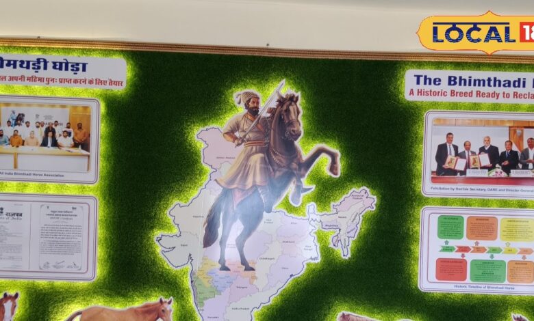 आधुनिक तरीके से तैयार हुआ अश्व संग्रहालय, यहां मिलती है तमाम जानकारियां...