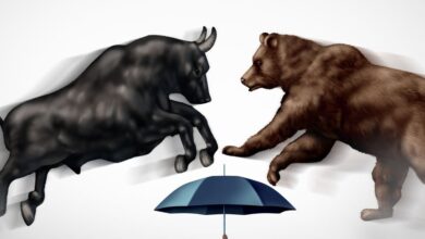 1 रुपये का शेयर पहुंचा 247 के पार, सालभर में 1 लाख के बना दिए 2.4 करोड़, भला ऐसा क्‍या काम करती है ये कंपनी