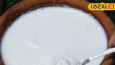 घर पर मक्खन जैसा गाढ़ा दही जमाना है? आजमाएं राजस्थान का देसी पारंपरिक तरीका, स्वाद भी मिलेगा जबरदस्त - Rajasthan News