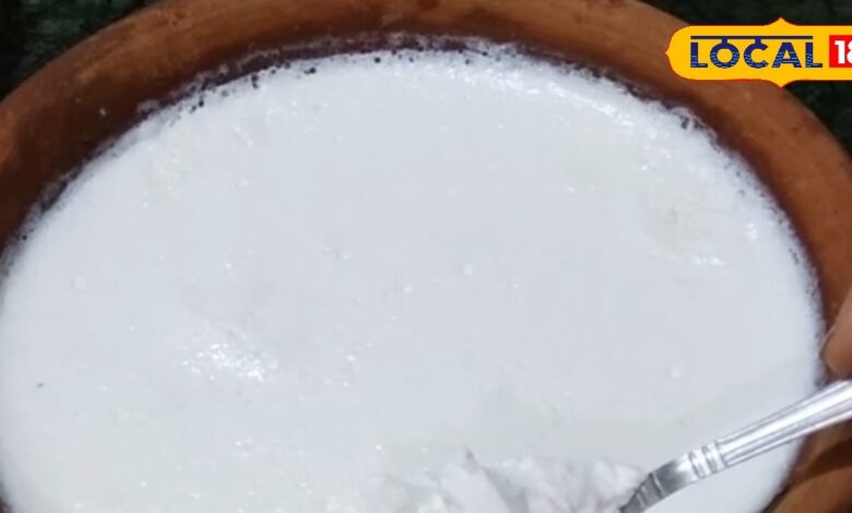 घर पर मक्खन जैसा गाढ़ा दही जमाना है? आजमाएं राजस्थान का देसी पारंपरिक तरीका, स्वाद भी मिलेगा जबरदस्त - Rajasthan News