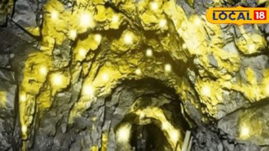 Udaipur Mining Tender 2025 | Rajasthan Mineral Auction | Gold Copper Lead Zinc Mining | Mining Tender Process
