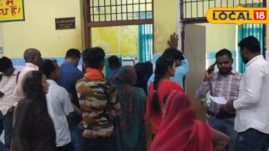 Immunity Boost : आंवला, हल्दी या धूप - कौन सा नुस्खा सबसे असरदार? एक्सपर्ट ने खोला इम्यूनिटी का सीक्रेट