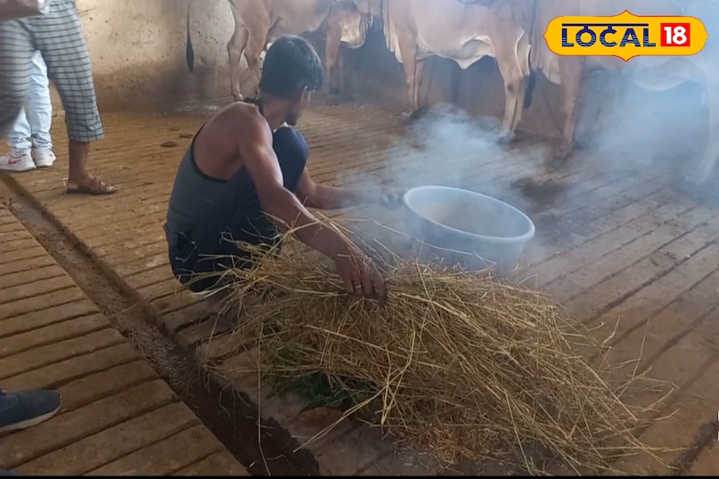 भीलवाड़ा