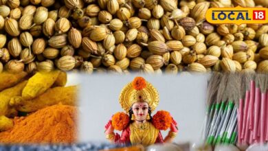 Dhanteras Shopping | Maa Lakshmi Blessings | Wealth and Prosperity | Lucky Items for Home | Festival Essentials
