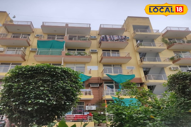 जेनेसिस गार्नियर जेनेसिस गार्नियर