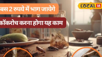 Cockroach Home Remedies | How to Get Rid of Cockroaches | Easy Cockroach Solution | Cheap Home Remedies for Cockroaches | Natural Cockroach Killer | Cockroach Prevention Tips