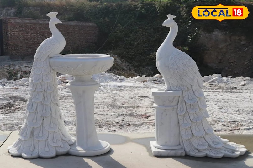 मार्बल मोर पुष्प 