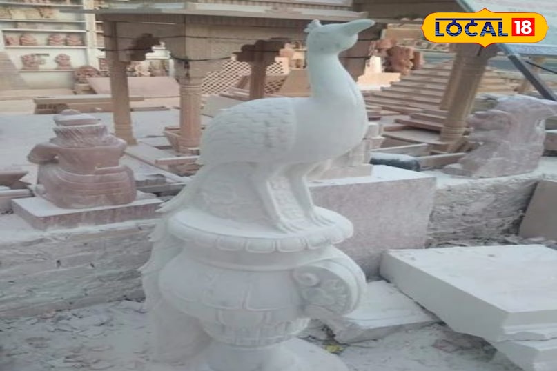 मार्बल मोर पुष्प 