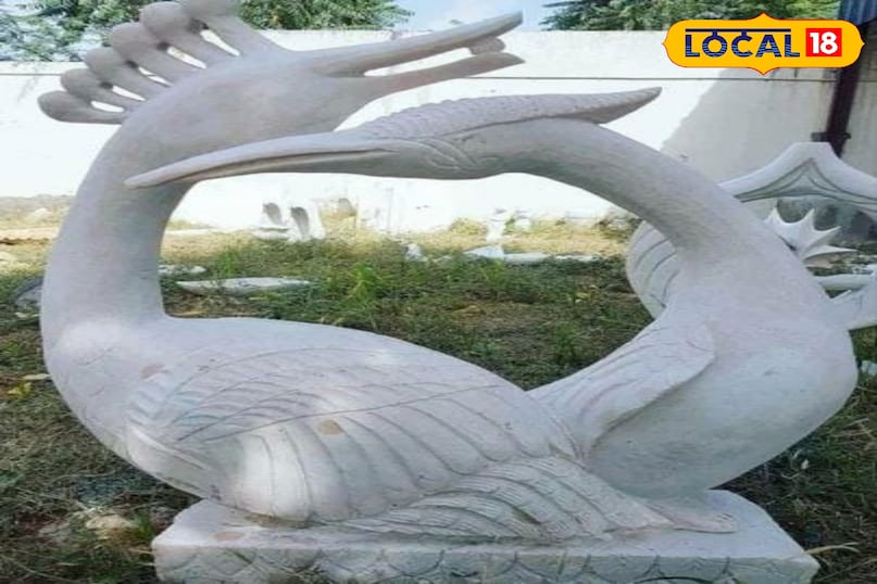 मार्बल मोर पुष्प 