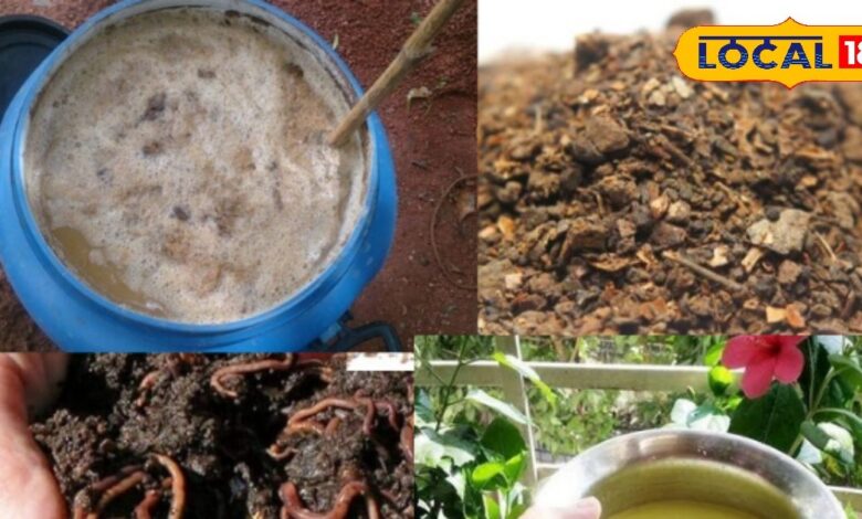 Gardening Tips | Natural Fertilizer | Home Remedies For Plants | Organic Gardening | Plant Care Tips | Eco-Friendly Fertilizer