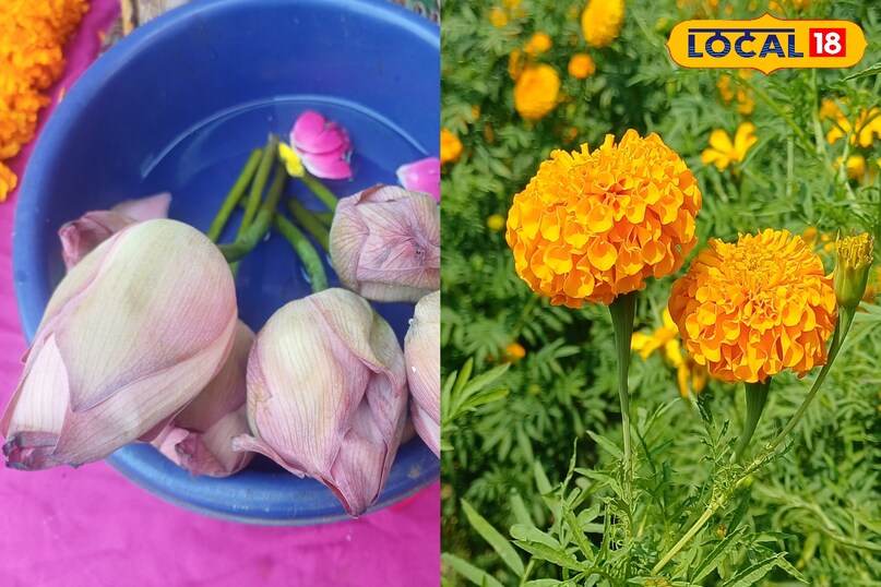 news 18 