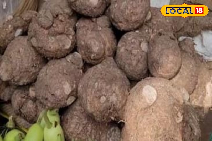 जमीकंद 