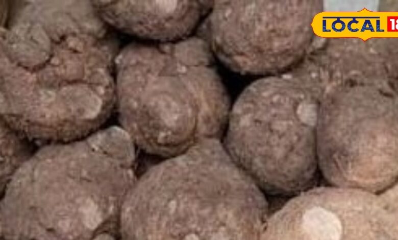 Health Tips: जानिए क्यों आयुर्वेद में जमीकंद को कहा गया 'कंदों का राजा, स्वाद, सेहत और औषधीय गुणों का है ख़जाना!