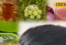 Hair Fall Remedy | Natural Hair Care | Home Remedies for Hair | Desi Hair Tips | Strong Hair | Hair Growth | Ayurveda Hair Treatment