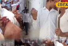 Diwali tradition Rajasthan | Animal Friendly Diwali | Rural Festival Customs | Unique Diwali Celebration | ECO-Friendly Diwali | Cattle Festival | Traditional Diwali Ritual