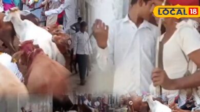 Diwali tradition Rajasthan | Animal Friendly Diwali | Rural Festival Customs | Unique Diwali Celebration | ECO-Friendly Diwali | Cattle Festival | Traditional Diwali Ritual