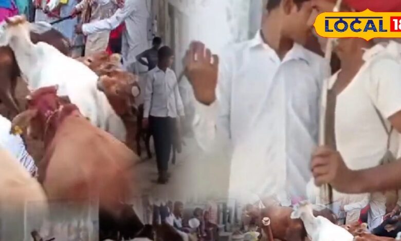 Diwali tradition Rajasthan | Animal Friendly Diwali | Rural Festival Customs | Unique Diwali Celebration | ECO-Friendly Diwali | Cattle Festival | Traditional Diwali Ritual