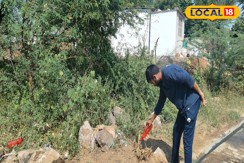 टिप्स एंड ट्रिक्स 
