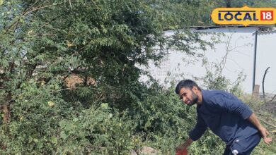 कमाल है खरपतवार हटाने का यह देसी तरीका, मिट्टी और पौधों को नुकसान पहुंचाए बिना गार्डन रहेंगे साफ - Rajasthan News