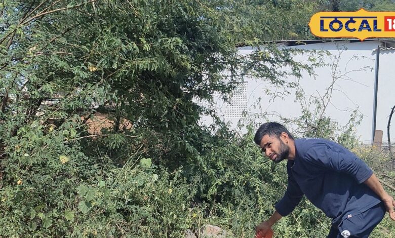 कमाल है खरपतवार हटाने का यह देसी तरीका, मिट्टी और पौधों को नुकसान पहुंचाए बिना गार्डन रहेंगे साफ - Rajasthan News